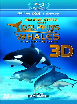 海豚和鲸鱼3D海报剧照