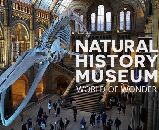 英国自然历史博物馆神奇世界第一季海报剧照