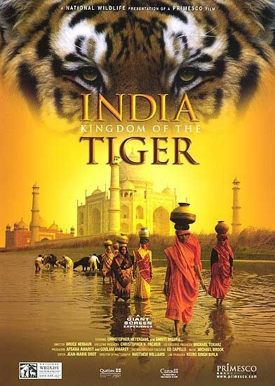 印度老虎王国