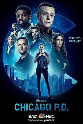 《芝加哥警署第十季》免费在线观看