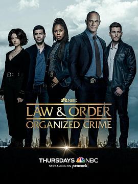 法律与秩序·组织犯罪 第三季
