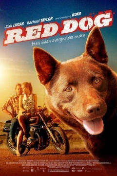 KOKO红犬历险记海报封面