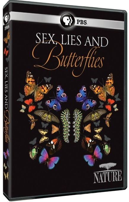性感谎言和蝴蝶海报
