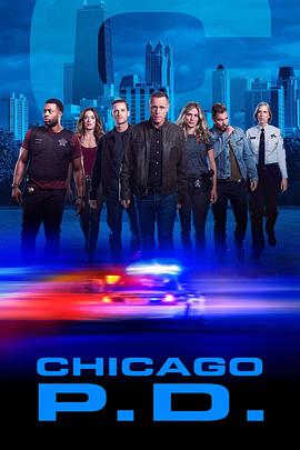 芝加哥警署第7季