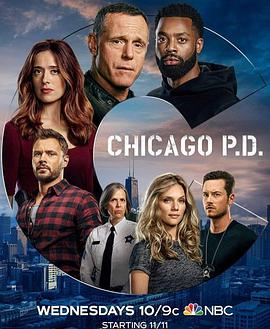 芝加哥警署第八季海报封面