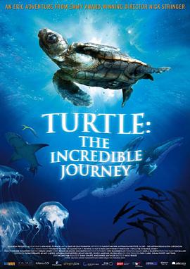 海龟奇妙之旅映画