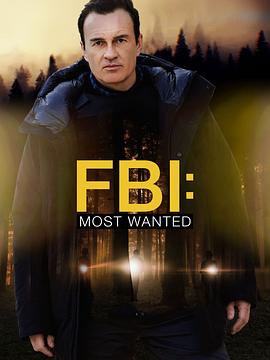 《联邦调查局·通缉要犯第四季》在线观看免费版完整版